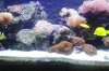 Picture_009a.jpg