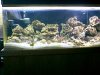 Aquascape.jpg