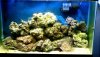 ReefJan05.JPG