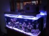 DSCF0449.JPG