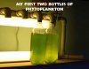 phytoplankton.jpg