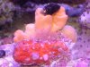 DSCF0648.JPG