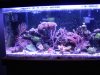 DSCF0661.JPG