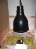 02-11-2005---5.jpg