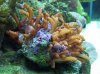 Large_tube_0411.jpg
