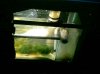 Sump_largeview.JPG