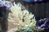 100_0884.JPG
