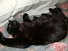 DSCF0873.JPG