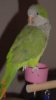 april05 042.jpg