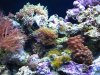 Tank46gal.jpg