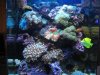 Aquarium.jpg