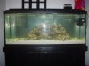 DSC00026.JPG