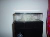 DSC00027.JPG
