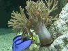 DSC00184.JPG