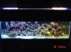 fish02.JPG
