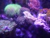 crowded3.jpg