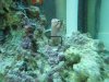 DSCF0067.JPG