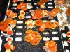 super_Sun_coral.bmp.jpg