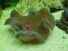 DSC00486.JPG