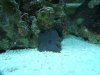 DSCF0092.JPG