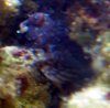 IMG_1670.jpg