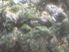 Picture 001.jpg