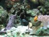 engineergoby.jpg