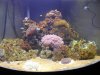 Dscn3111.jpg