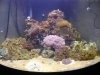 Dscn3112.jpg