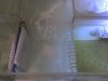 waterfall.jpg