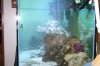 100_2092.jpg