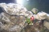 100_2093.jpg
