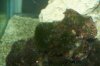 100_2095.jpg