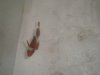 DSC01819.JPG