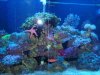 DSC00187.JPG