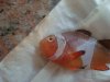 DSC01851.jpg