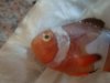 DSC01852.jpg