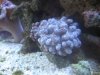 IMG_0951.jpg