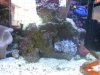 IMG_0952.jpg