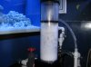 75 gallon reeftank new setup 008.jpg