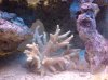 DSC00327.jpg