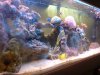 DSC00333.jpg