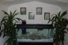 Fish5.jpg