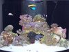 100_2071 2.jpg