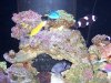 100_2072  2.jpg