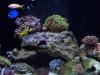 100_2073  2.jpg