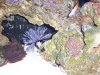 100_2075  2.jpg