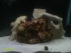 quitman pics and fish 007.JPG