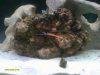 quitman pics and fish 009.jpg
