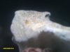 quitman pics and fish 012.jpg